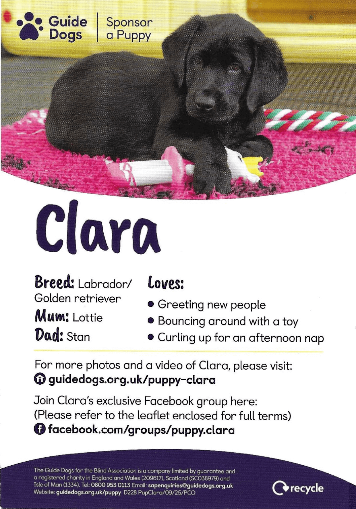 clara (1)